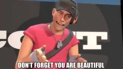 Wholesome tf2