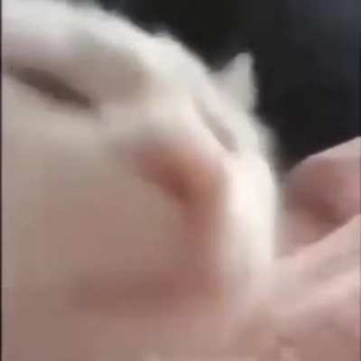 best shop music