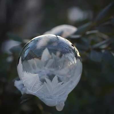 A bubble freezing in real time