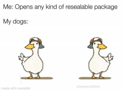 They do enjoy their snacks