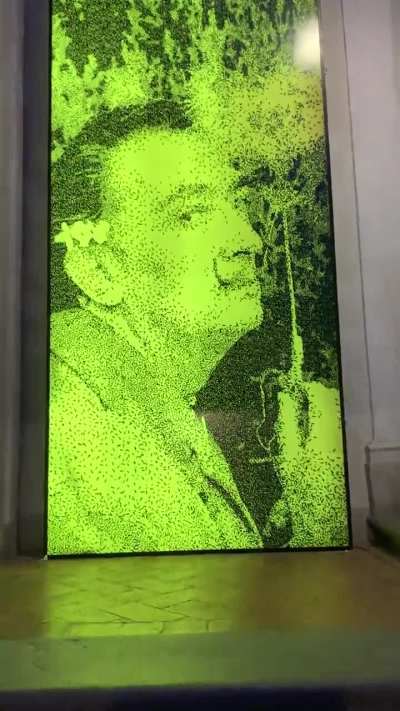 cursed_art
