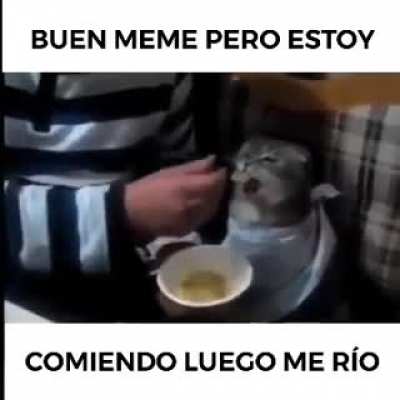 ja