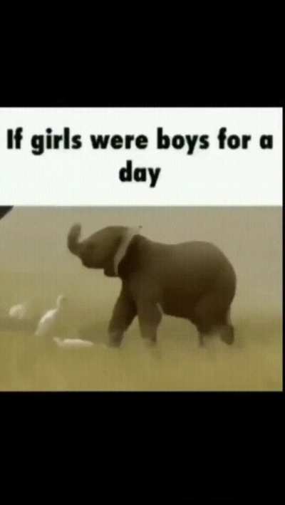 Weee weee weeeeeee