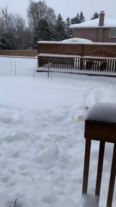 First time exploring after some heavy snowfall