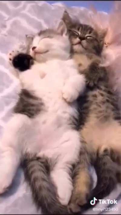When they sleep it's the most beautiful 🤗😍