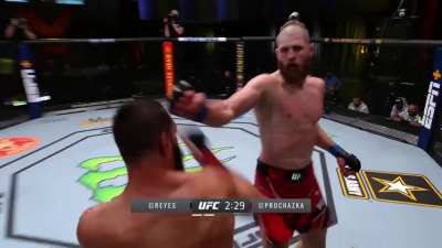 Jiri Prochazka has a savage fight with Dominick Reyes, that ends in a brutal KO