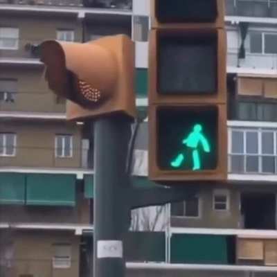 When no nut november is almost over and you begin to hallucinate