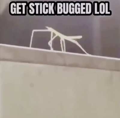 Get Stick Bugged&sup2;