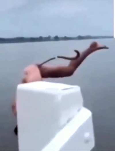 Title