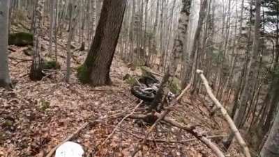 Bear attack