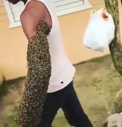 Guy with bees: The newest anime villian