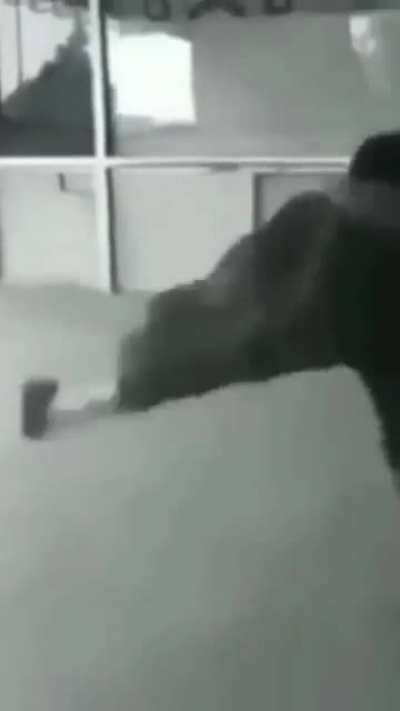 *bonk*
