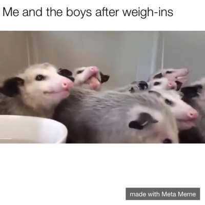 Always happens.