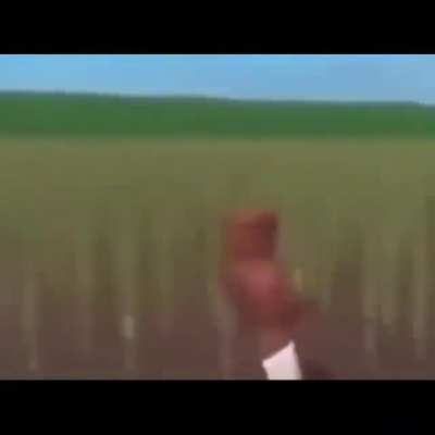 Roblox ?