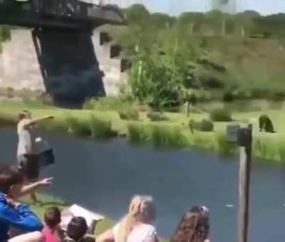 bonk