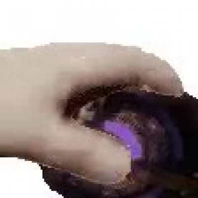 Bj&ouml;rng