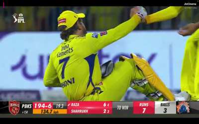 Thala with a broken hip 😓