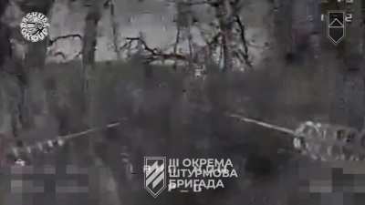 "Paskuda group" of the Third Assault locate and target Russian troops with FPV Drones. May 2024. Avdiivka Direction.