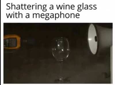 Moldy megaphone