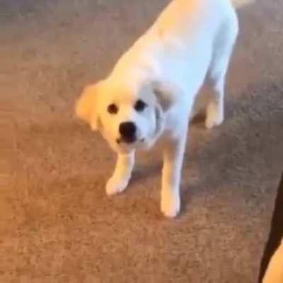 This deserves to be here