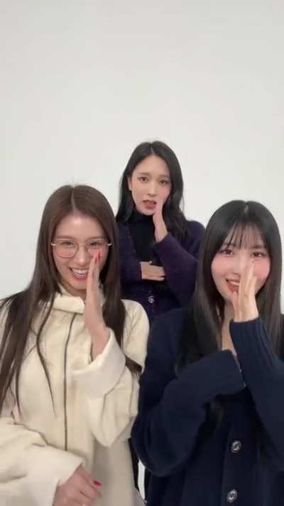 230214 TikTok Update - "🐻🐹🐧 Chu ! 💕" (Momo, Sana and Mina)