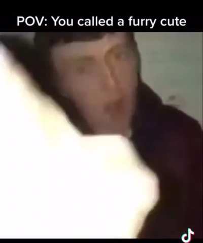 Furry_irl
