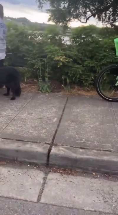 Whoever&rsquo;s dad this is in Seattle, please tell him he&rsquo;s my hero