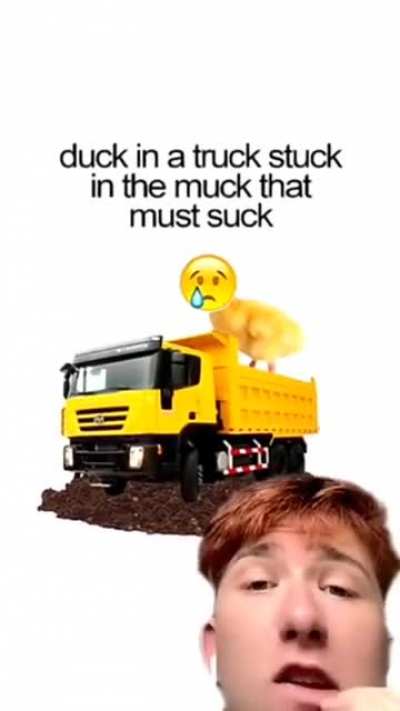 Must suck