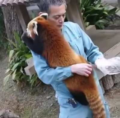 Краснопандовое