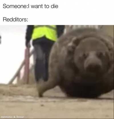 seal