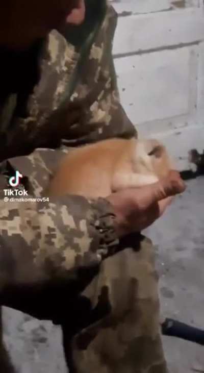 The symbolism of this tiny kitten, seeking warmth &amp;amp; love in the strong yet tender palm of a weary &amp;amp; dirty AFU fighter is very touching