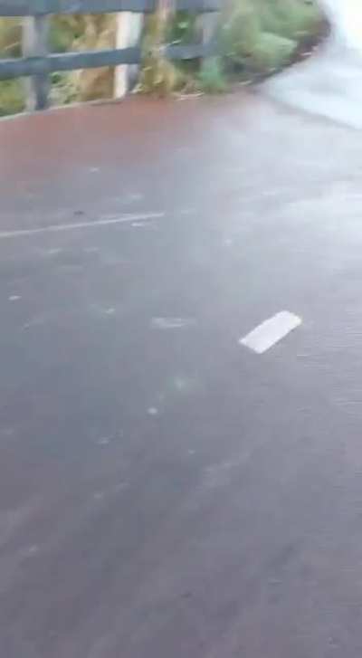 ik❄️ihe