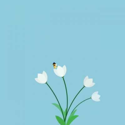 'Cute' animations