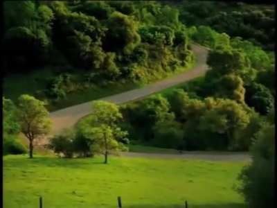 A car driving down a long road all peacefully and I think what happens next is pretty self explanatory.