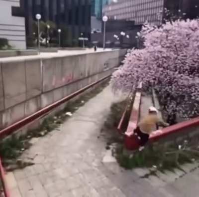 leg gone