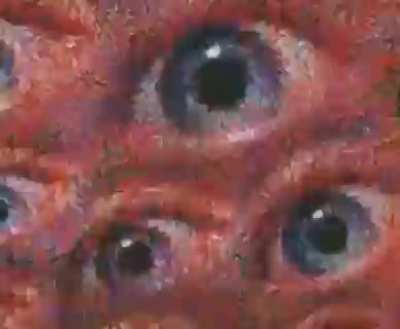 ⠀ ⠀⠀⠀⠀⠀⠀⠀⠀⠀⠀