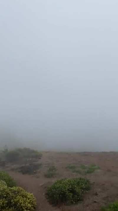 &ldquo;Come to San Francisco, go to twin peaks, you&rsquo;ll love the view.&rdquo; The view: