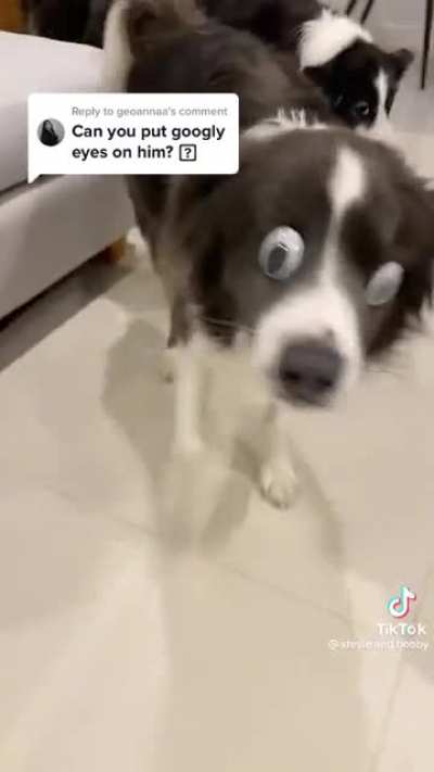 Googly eyes