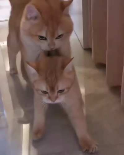 Don&rsquo;t ever talk to me or my son ever again