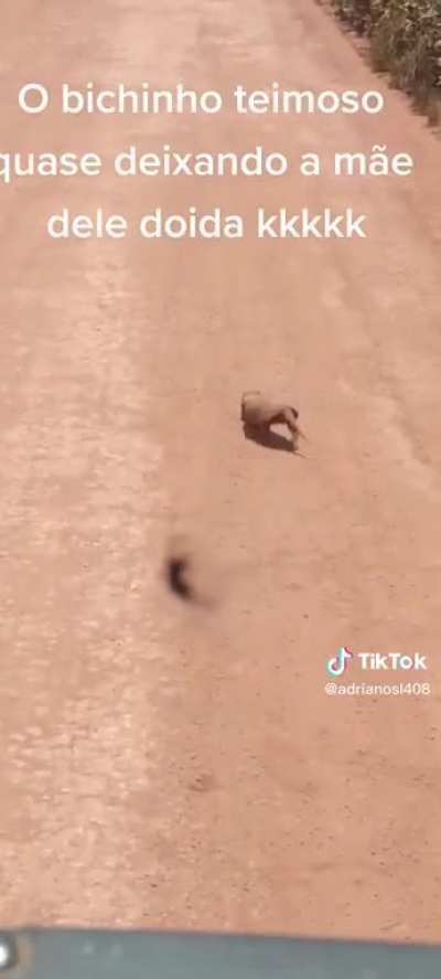 Eita moleque desobediente