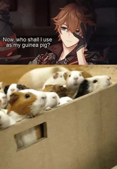 Meeeeeeeeeeeeeee!