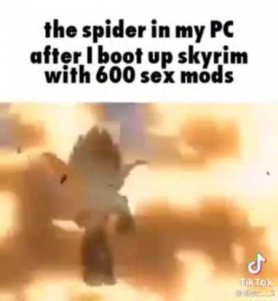 SKYRM