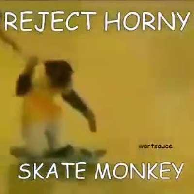 Skating monkey!?!?!