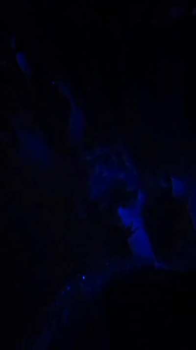 Sucking my dick in the middle of a night club. She put on a good sneaky show for everyone! [OC]