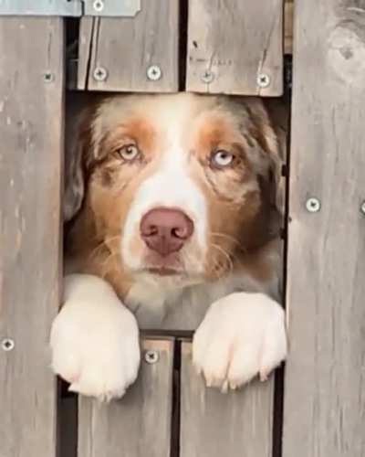 &ldquo;Sure he&rsquo;s cute, but can he do this??&rdquo;