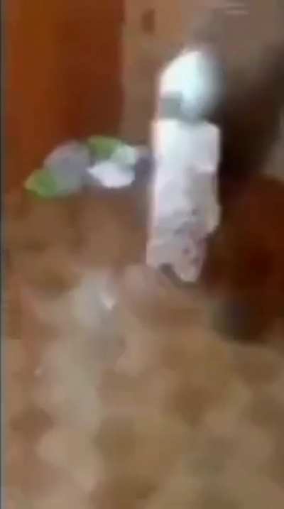 Pega lapada pega