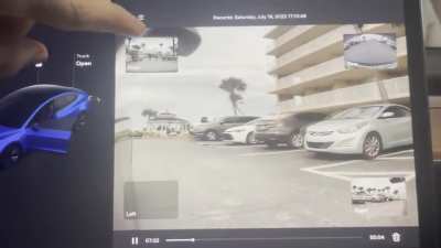 Tesla hate is real.. check out this drunk freak from NC break off the drivers side window of my week old Tesla and then reach in grab my arm bruising it and grabbed my phone and threw it to the ground. Thanks to sentry&hellip; he&rsquo;s now been charged w assault van