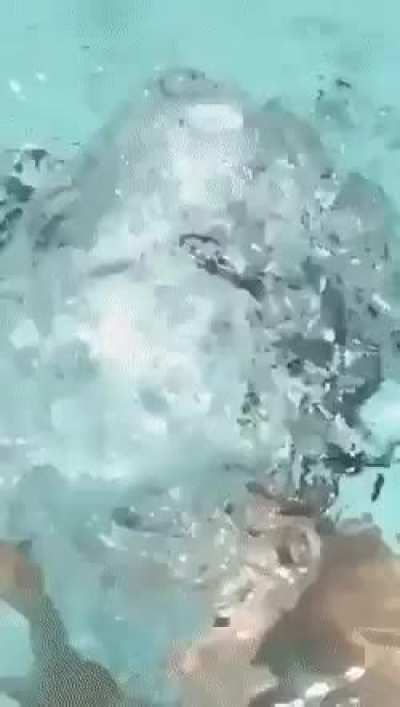 Unconventional Drop