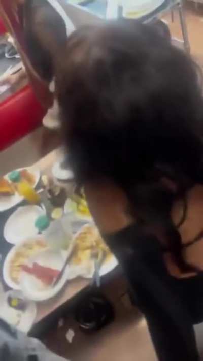 A new Waffle House brawl just dropped