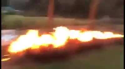 Watch Fire Fly
